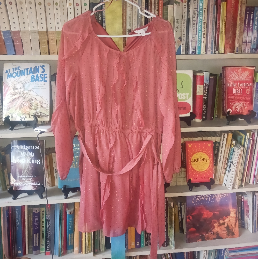 Lc Lauren Conrad Dress Size XL